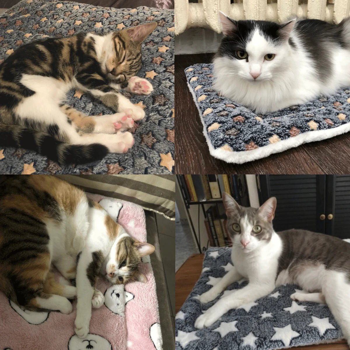 FelineDream™ I Tapis de Couchage Douillet - Minou Zone