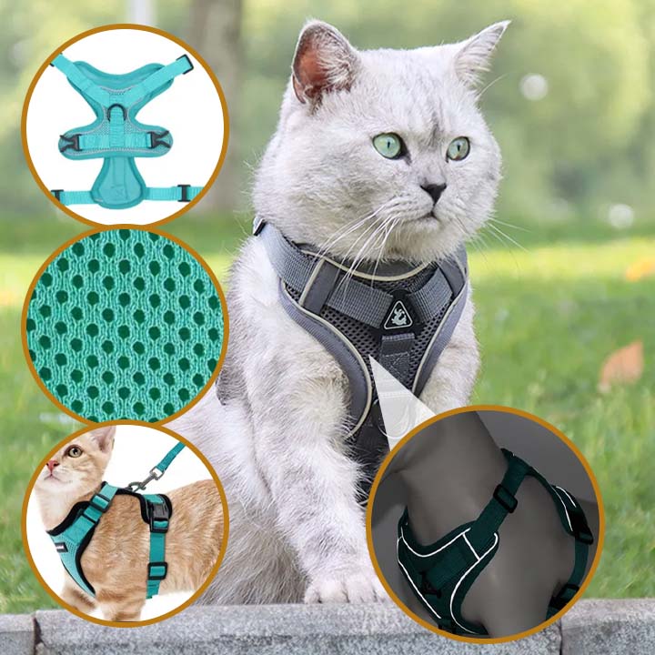 HarExplorer™ I Harnais Réfléchissant pour Chat/Chien avec Laisse - Minou Zone