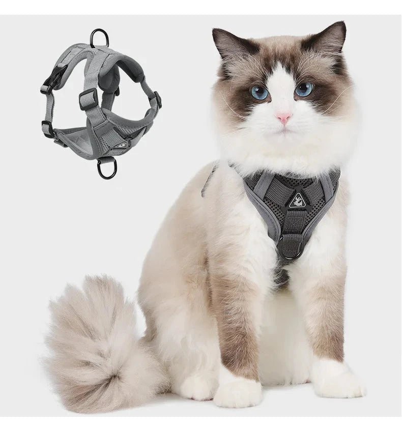 HarExplorer™ I Harnais Réfléchissant pour Chat/Chien avec Laisse - Minou Zone