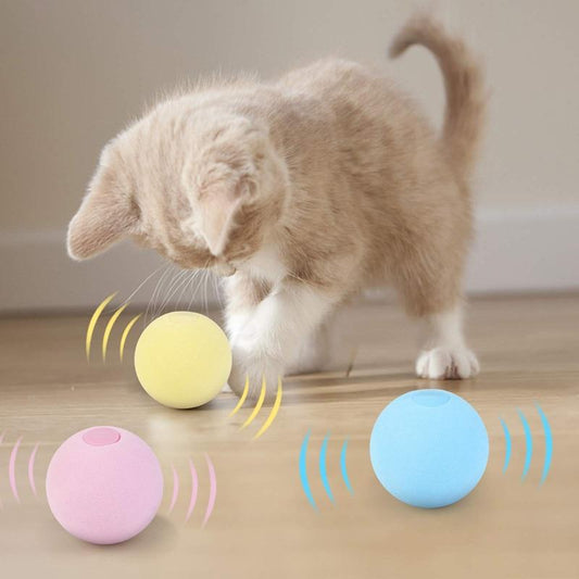 SmartBall™ - Balle intelligente d'apprentissage pour chat - Minou Zone